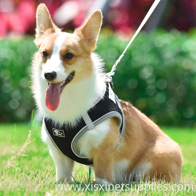 Wholesale Dog Adjustable Harness Polyester Back Clip Dog Harness